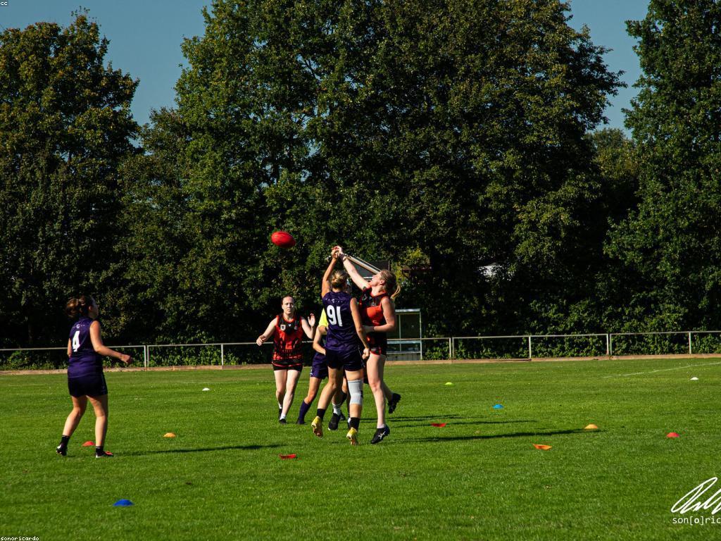 គោលការណ៍ហ្គេម: ប្រភេទ និង ការអនុវត្ត