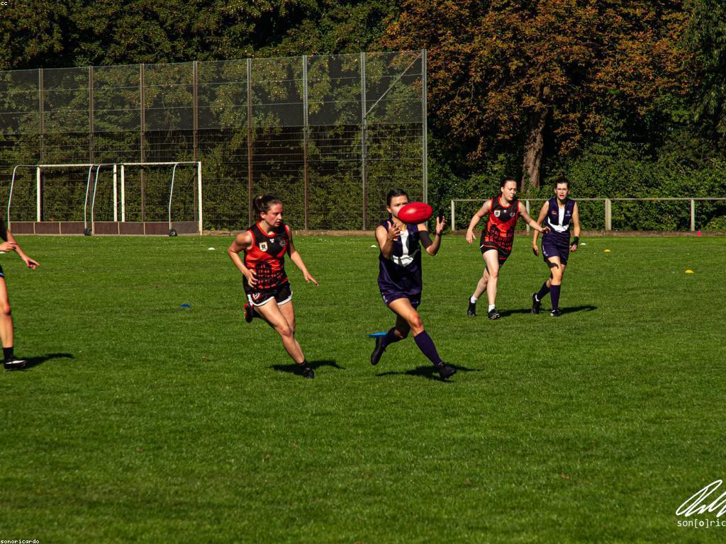 គោលការណ៍ហ្គេម: ប្រភេទ និង ការអនុវត្ត