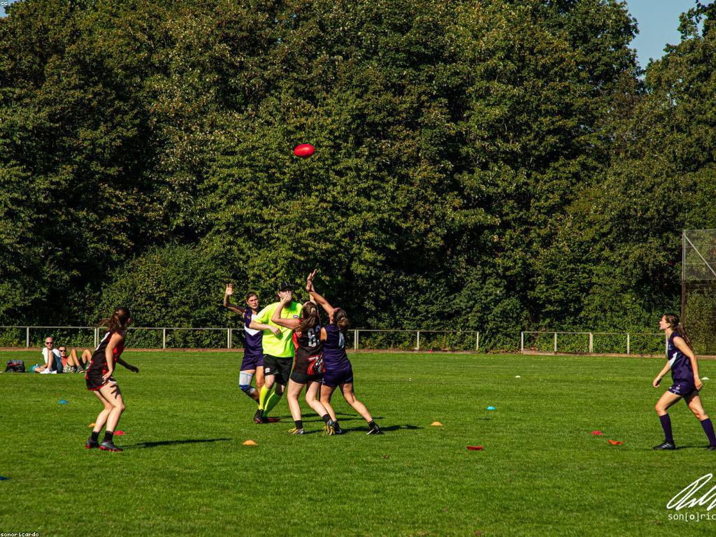 គោលការណ៍ហ្គេម: ប្រភេទ និង ការអនុវត្ត